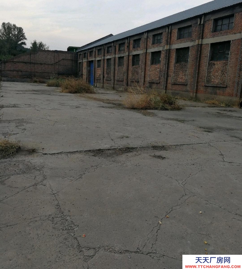 (出租) 大型倉庫，廠房，空院，辦公整場出租