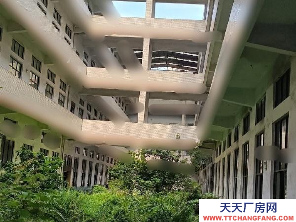 長沙市寧鄉區 高新區60畝工業用地5萬平米建筑整體出售