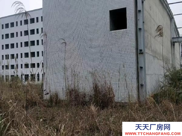 長沙市寧鄉區 28.8畝帶廠房工業用地出售