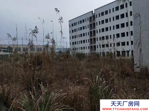 長沙市寧鄉區 28.8畝帶廠房工業用地出售