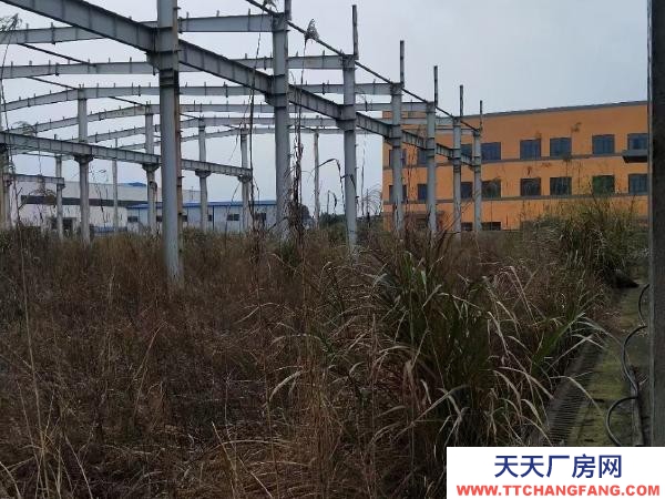 長沙市寧鄉區 28.8畝帶廠房工業用地出售