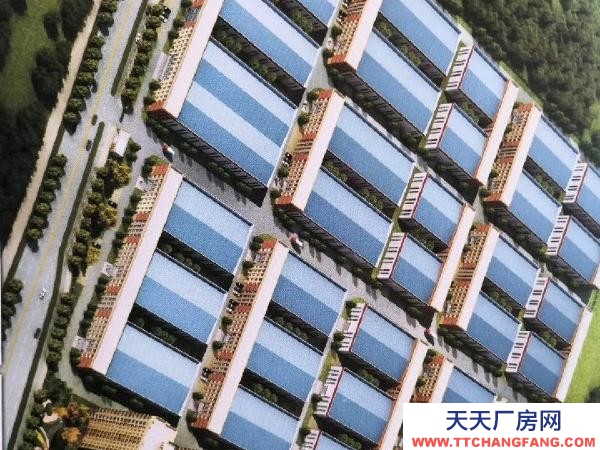 長沙市寧鄉區 經高新區區帶航車廠房出售