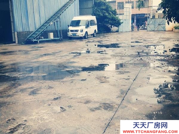 (出租) 水，電，路，三通一平