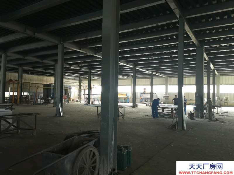 (出租) 鋼結構標準廠房，個人一手廠房