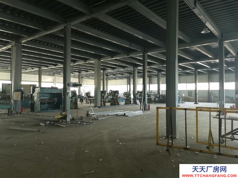 (出租) 鋼結構標準廠房，個人一手廠房