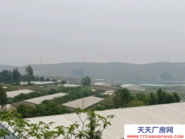 (出租) 大型標(biāo)準(zhǔn)化養(yǎng)豬場出租