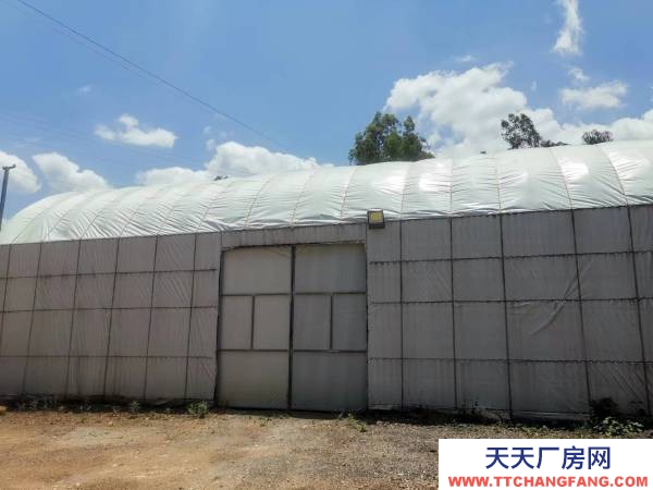 (出租) 可做廠房,倉庫,水電路都通,地理位置優越,可做番茄代辦和倉庫