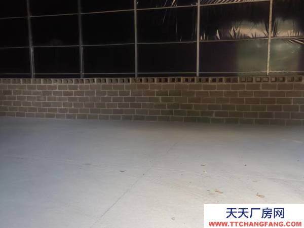 (出租) 可做廠房,倉庫,水電路都通,地理位置優越,可做番茄代辦和倉庫