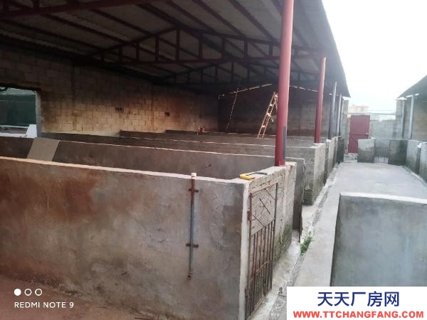 (出租) 路通，水通，三相電通，自家房有產(chǎn)權！