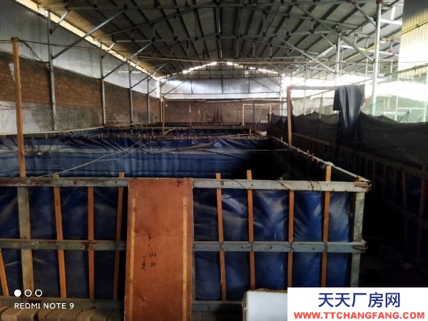 (出租) 路通，水通，三相電通，自家房有產權！