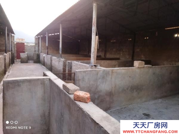 (出租) 路通，水通，三相電通，自家房有產權！