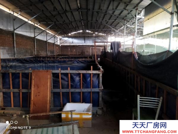 (出租) 路通，水通，三相電通，自家房有產權！