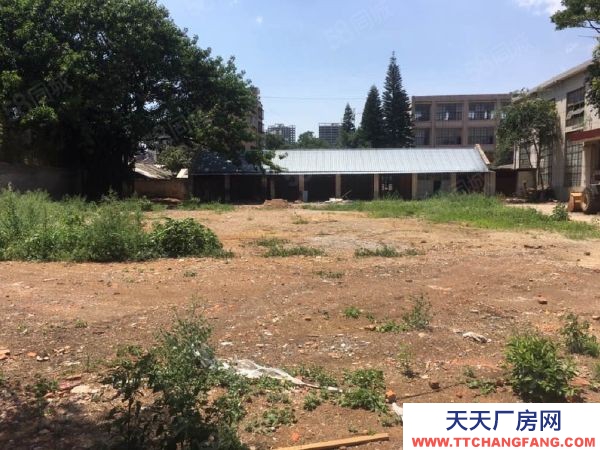 (出租) 烏谷哨上寨場地,廠房