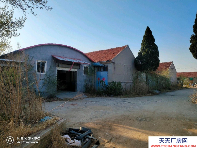 青島平度院子12畝，倉庫3000平