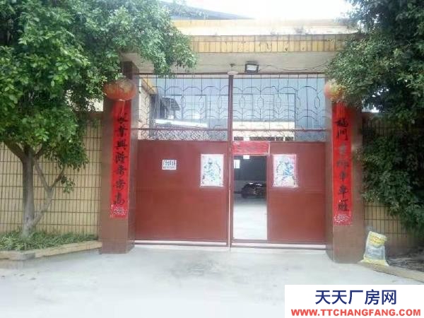 (出租) 地址石屏教場壩中段，交通方便大路邊。