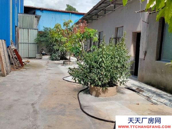 (出租) 此場地出租:地址位于個舊市、雞街鎮(zhèn)老昆河公路邊小芭蕉路段。