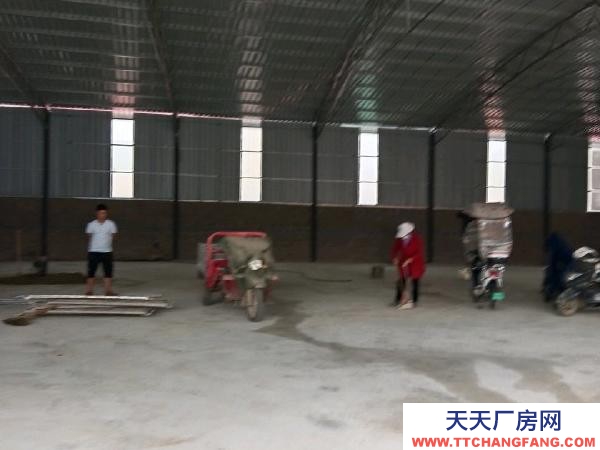 (出租) 廠房可以出租或出售，看后面談