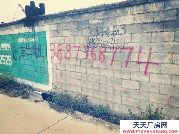 (出租) 廠房可以出租或出售，看后面談