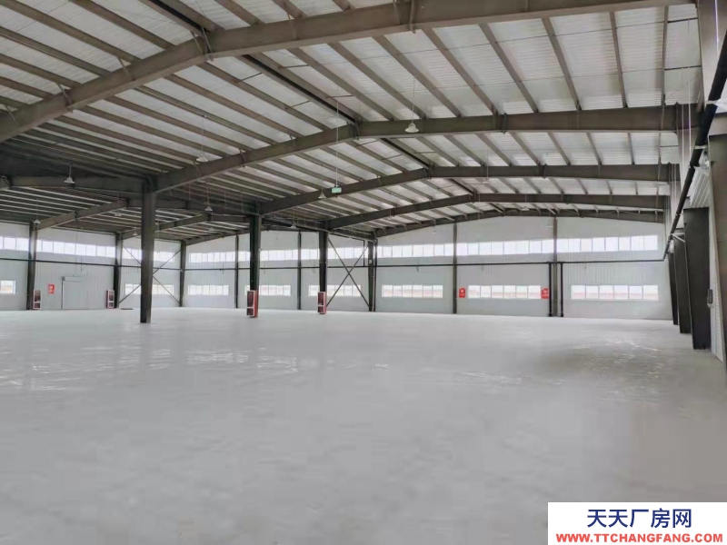 (出租) 新建全新倉庫 臨近314省道