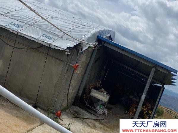 (出租) 紅河自己養雞,了,交通水電都方便,周邊無污染環境