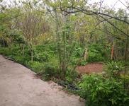 (出售) 宜昌當陽大型廠房，福利院低價出售。