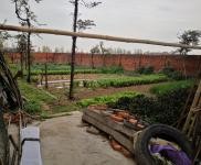 (出售) 宜昌當陽農(nóng)村，適合建小型工廠，或者建別墅，