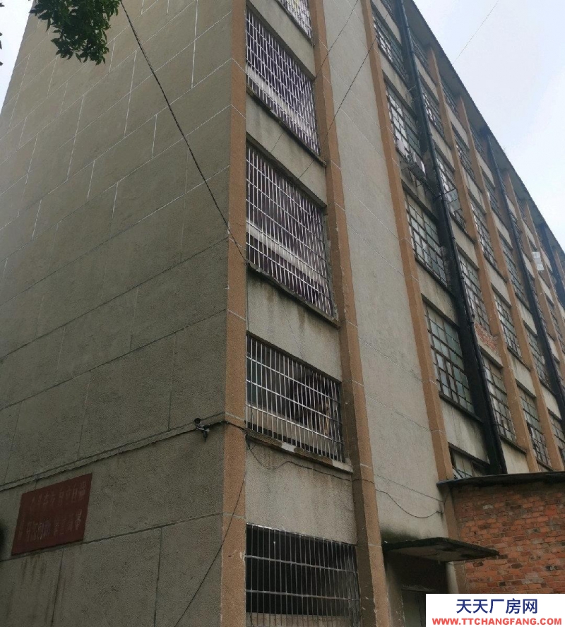 南寧市西鄉塘區(出租) 綜合樓大樓5樓出租，面積483平米。