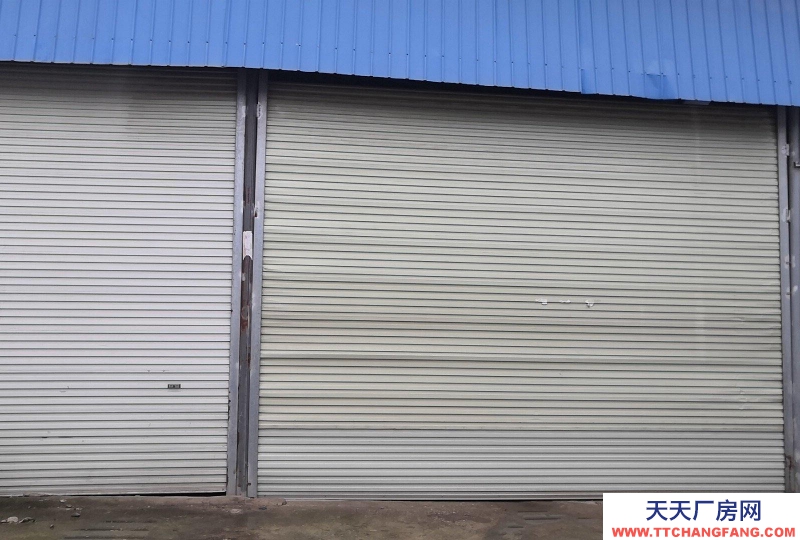 南寧市西鄉塘區(出租) 鋼結構，位于通塑再生公司旁