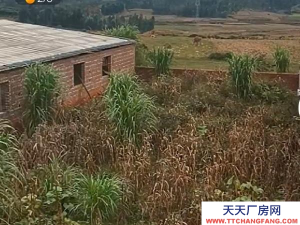 文山(出租) 環保證都有。離城區也遠