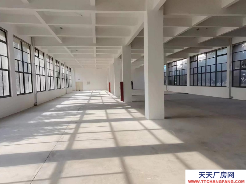 (出租) 合肥瑤海大興鎮(zhèn)周邊3000平標準化廠房招租