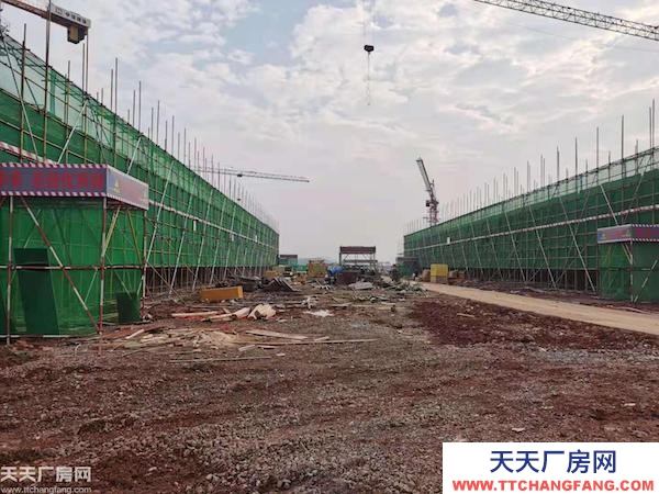 長沙市瀏陽區(qū)黃花機場東 稀缺兩層獨棟 標準產(chǎn)業(yè)園區(qū)