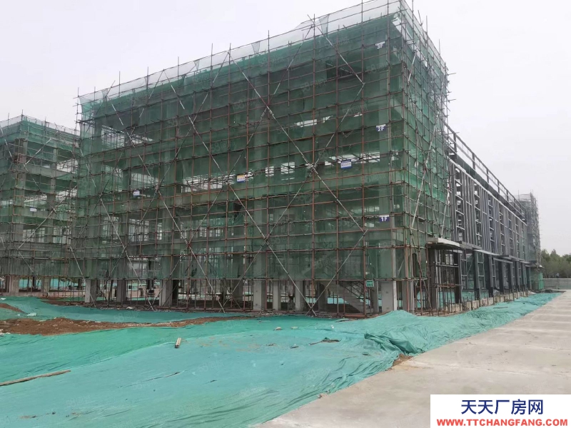 保定 高碑店  京南 單層挑高12米輕鋼廠房 環評寬松 1200至3300平