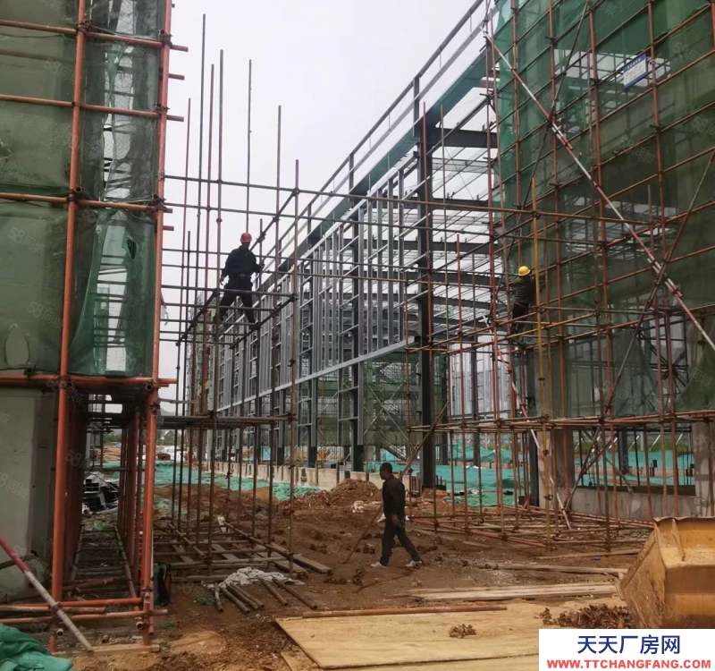 保定 高碑店  京南 單層挑高12米輕鋼廠房 環(huán)評(píng)寬松 1200至3300平