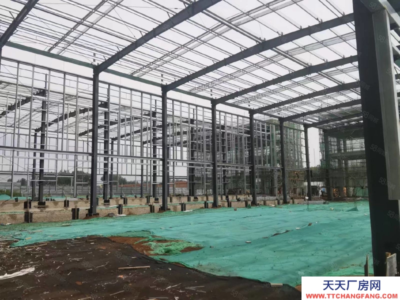 保定 高碑店  京南 單層挑高12米輕鋼廠房 環評寬松 1200至3300平