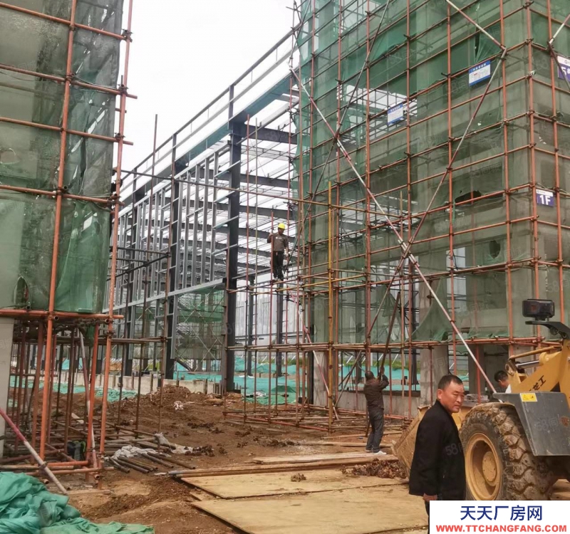 保定 高碑店  京南 單層挑高12米輕鋼廠房 環評寬松 1200至3300平