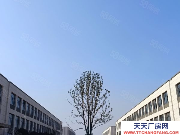 長沙市瀏陽區 兩層獨棟廠房 價格3字頭 首付兩成可按揭