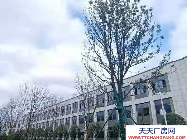 長沙市瀏陽區 2層!3層!獨棟!出售!開發直招!