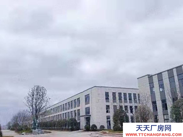 長沙市瀏陽區 獨棟!大平層2600平,即買即用!開發直招!可按揭!