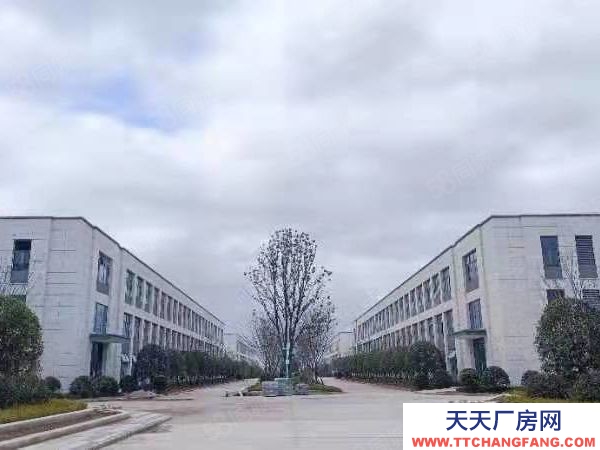 長沙市瀏陽區 獨棟！大平層2600平，即買即用！開發直招！可按揭！