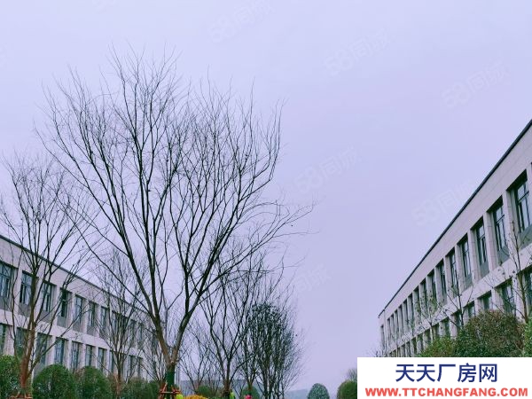 長沙市瀏陽區唯一在售的兩層獨棟廠房,可裝行吊