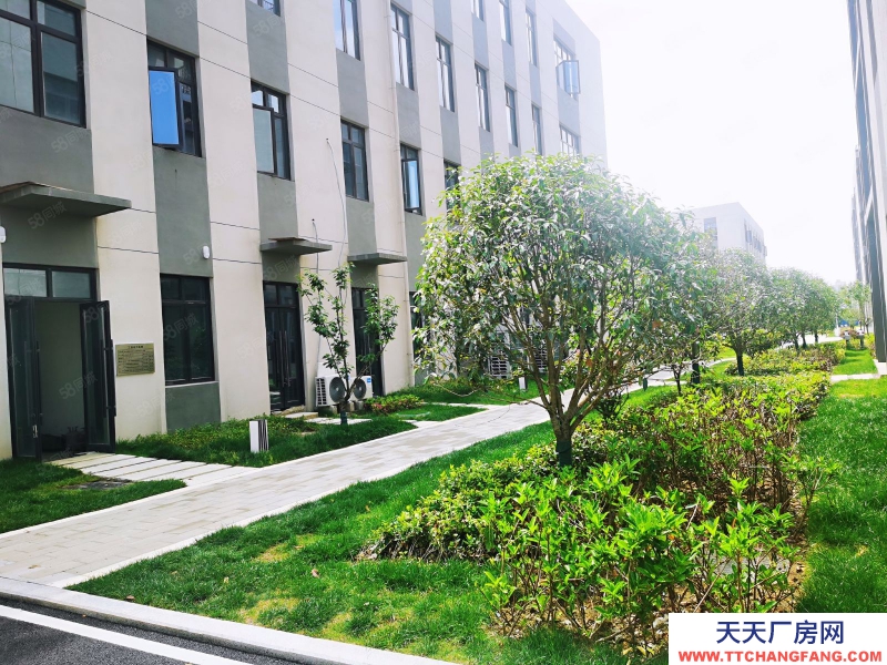 (出售) 合肥瑤海周邊 兩層 小面積獨(dú)棟 開(kāi)發(fā)商直售 50年產(chǎn)權(quán) 限時(shí)特惠