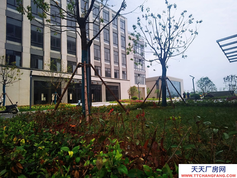 (出售) 合肥瑤海周邊 兩層 小面積獨(dú)棟 開(kāi)發(fā)商直售 50年產(chǎn)權(quán) 限時(shí)特惠