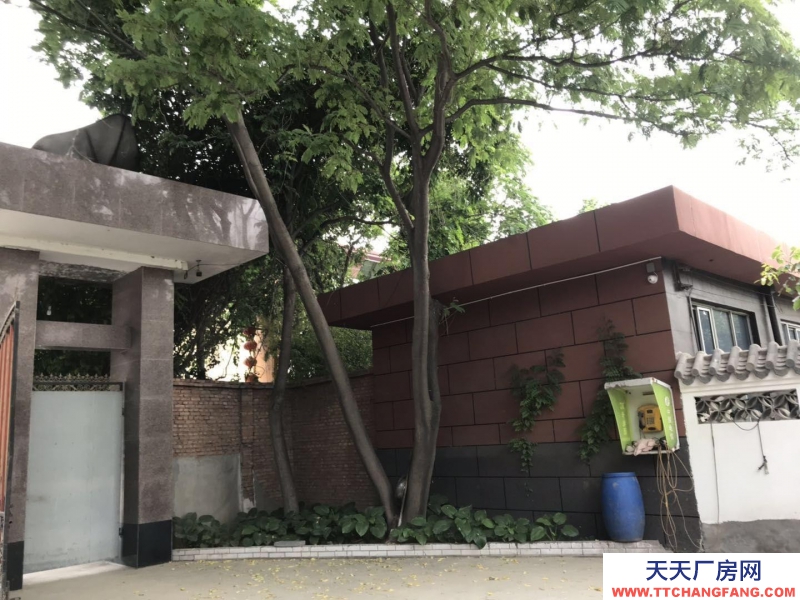 保定 徐水 107國道毗鄰雄安新區廠房出租 后院有空地