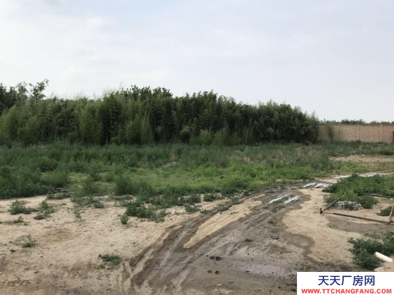 保定 徐水 107國道毗鄰雄安新區廠房出租 后院有空地