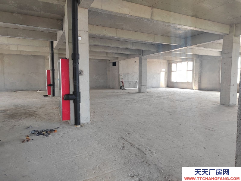 青島萊西準現房,獨棟大產權,1200到10000可定制有環評安評消防