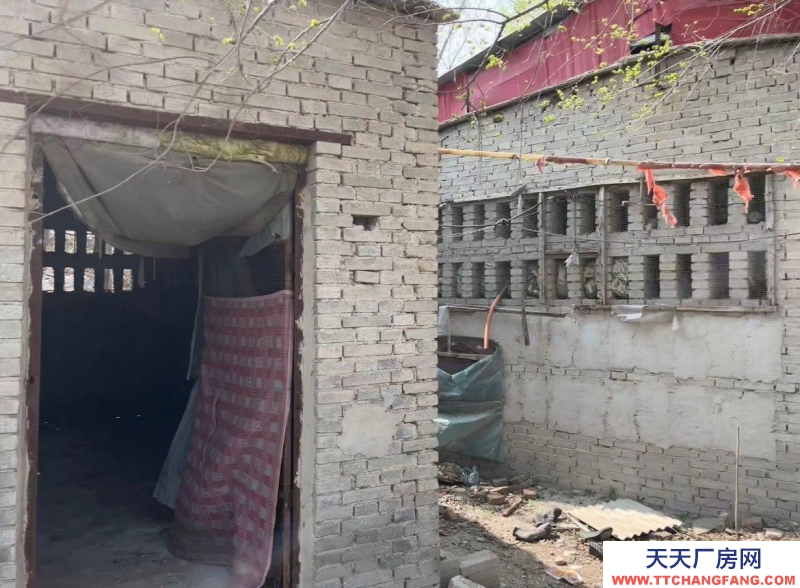 保定 徐水  獨(dú)門獨(dú)院養(yǎng)殖場，后邊是山。放牧方便，使用權(quán)，使用權(quán)