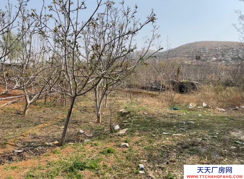 保定 徐水 多方面養殖場地。環境好。3畝多地，使用權