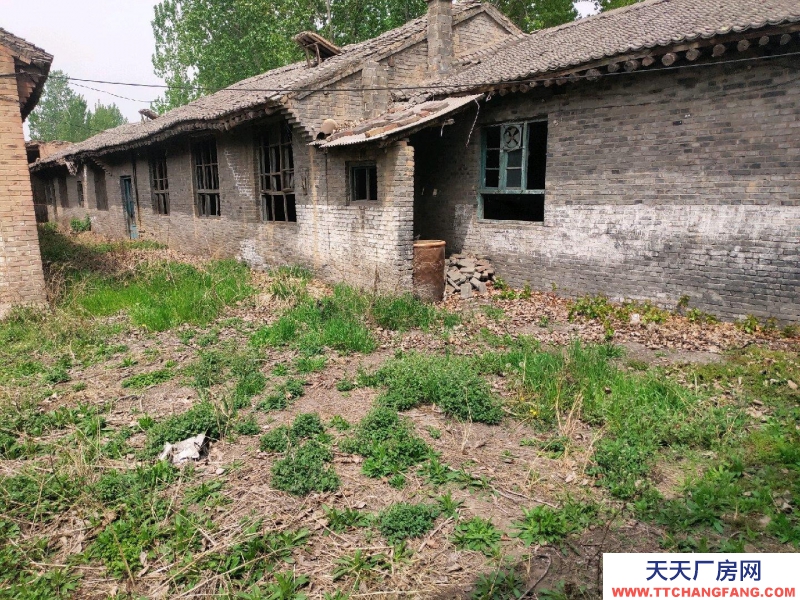 (出租) 適合做輕工業，庫房。門口有河常年有水用水方便。