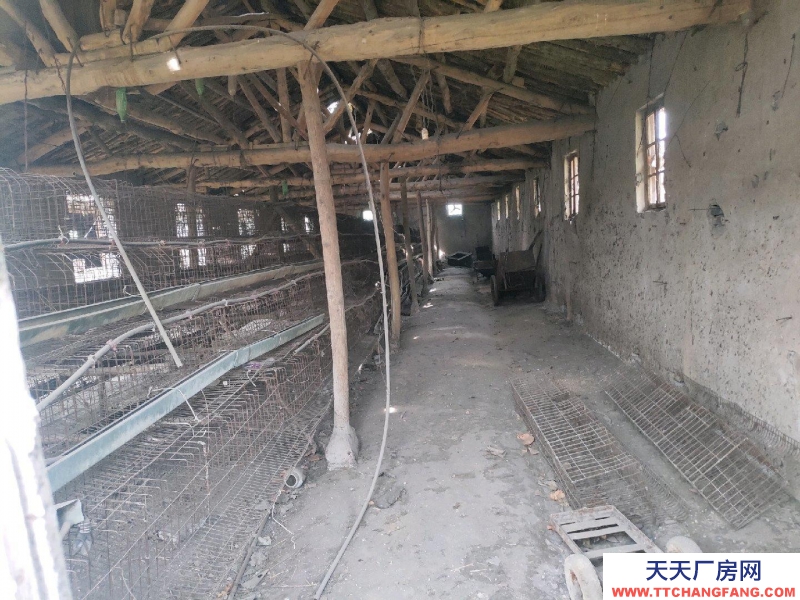 (出租) 適合做輕工業，庫房。門口有河常年有水用水方便。