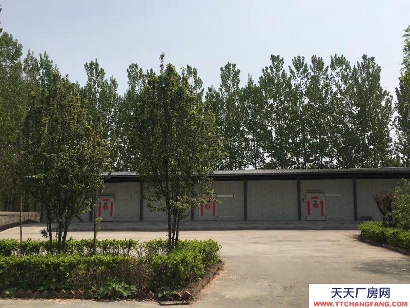 (出租) 保鮮冷藏庫3個／480立方，冷凍庫2個／480立方4800